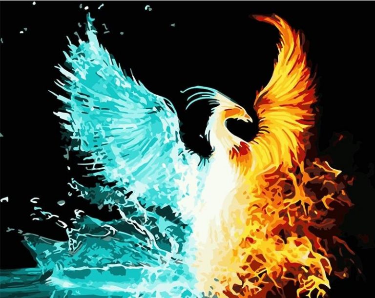 Fire And Ice Phoenix Birds Paint By Number Painting By Numbers Kits