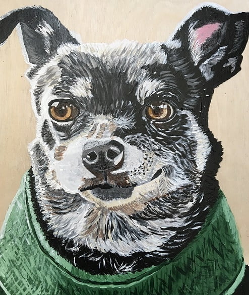 Gray Chihuahua Animals Paint By Numbers - Numeral Paint Kit