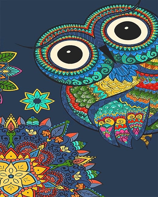 Owl Art NEW Paint By Numbers Numeral Paint