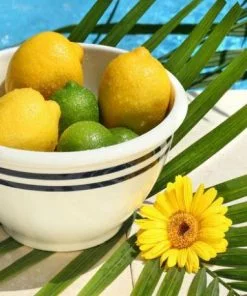Fresh Lemons Bowl Paint By Numbers
