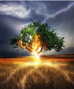 Lightning Tree Paint By Numbers