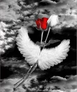 Angel Wings Roses paint By Numbers