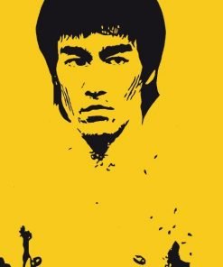 Legendary Bruce Lee Paint By Numbers