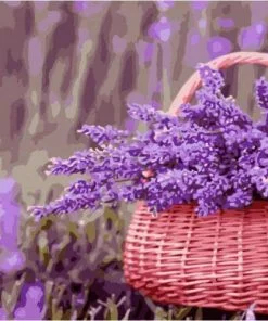 Lavenders Basket Paint By Numbers