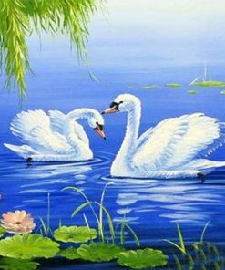 White Swans Paint By Numbers