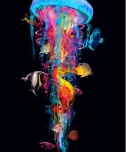 New Jellyfish Big Fish Animals Paint By Numbers