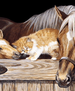Horses And Cat Paint By Numbers