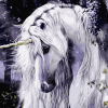 White Unicorn Horse Paint By Numbers