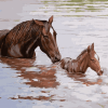Horse And Foal In Water Paint By Numbers