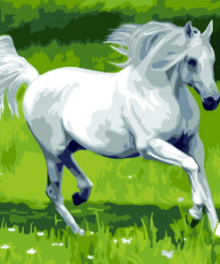 Wild White Horse Paint By Numbers