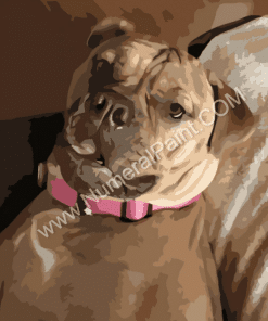 dog portrait paint by number