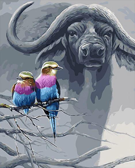 Buffalo And Birds Paint By Numbers