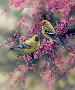 Goldfinch Birds Paint by numbers
