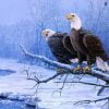 Winter Eagles Paint By Numbers