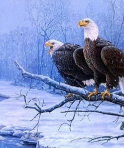 Winter Eagles Paint By Numbers