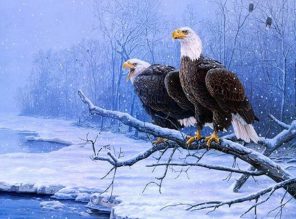 Winter Eagles Paint By Numbers
