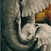 Elephant Mother And Son Paint By Numbers