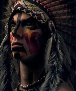 Native American Warrior Paint By Numbers