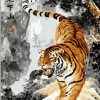 Chinese Tiger Paint By Numbers