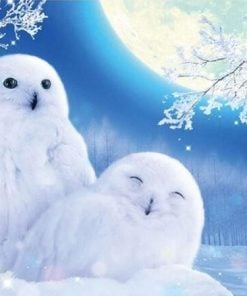 Snow Owls Paint By Numbers