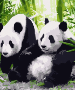 Panda Couple Paint By Numbers