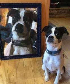 Paint by numbers upload photo