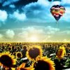 Sunflowers Field And Air Balloons Paint By Numbers