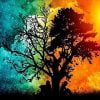 Day And Night Tree Paint By Numbers