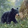 Baby Bear Paint By Numbers