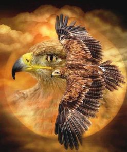 Spirit Of The Wind Birds Paint By Numbers