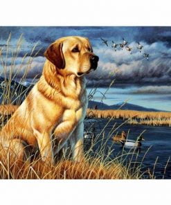 Dog Next To Lake Paint By Numbers