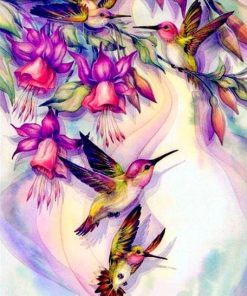 Hummingbirds And Flowers Paint By Numbers