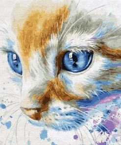 Blue Eyes Cat Paint By Numbers