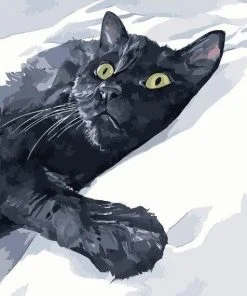 Black Cat Paint By Numbers