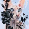 Sphynx Cat Paint By Numbers