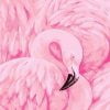 Pink Flamingo Paint By Numbers