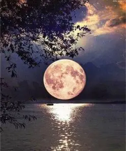 Full Moon Paint By Numbers