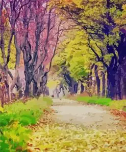 Forest Path Paint By Numbers