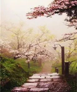 Cherry Blossom Garden Paint By Numbers
