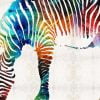 colorful zebra paint by numbers
