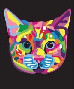 Colorful Cat Head Paint By Numbers