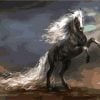Horse With white Hair Paint By Numbers