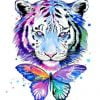 Tiger And Butterfly Paint By Numbers