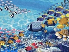 Fish Swimming Paint By Numbers