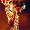 Giraffe And Baby Paint By Numbers