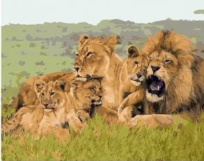 African Lion Family Paint By Numbers