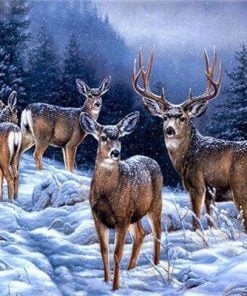 Alaska Deer Paint By Numbers