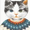Cat In Sweat Shirt Paint By Numbers