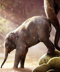 Baby Elephant Paint By Numbers