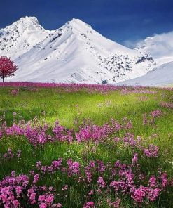 Snowy Mountains Paint By Numbers